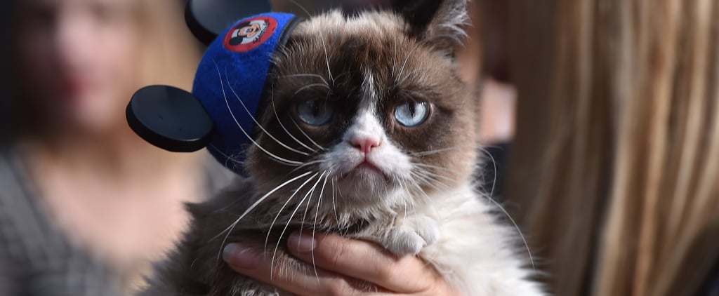 Which Famous Cat Are You? Personality Quiz