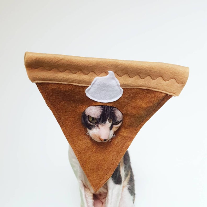 Even If Your Pet Isn't the Halloween Type, This Pie Hat Brings Out Their Cuteness