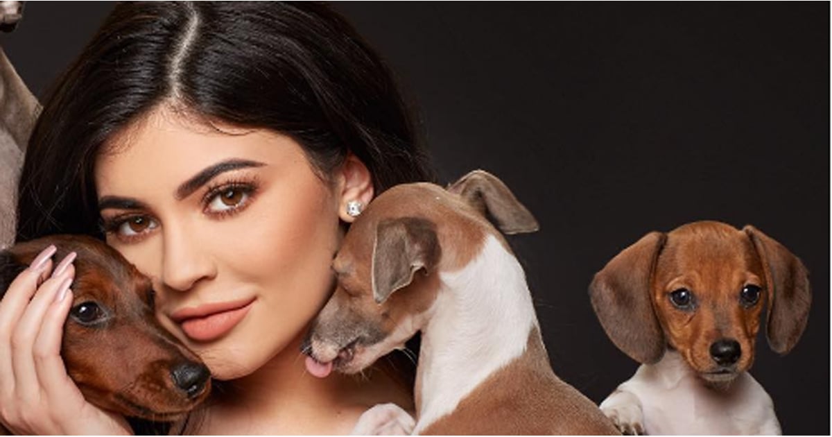 Kylie Jenner's Dogs on Instagram | POPSUGAR Pets