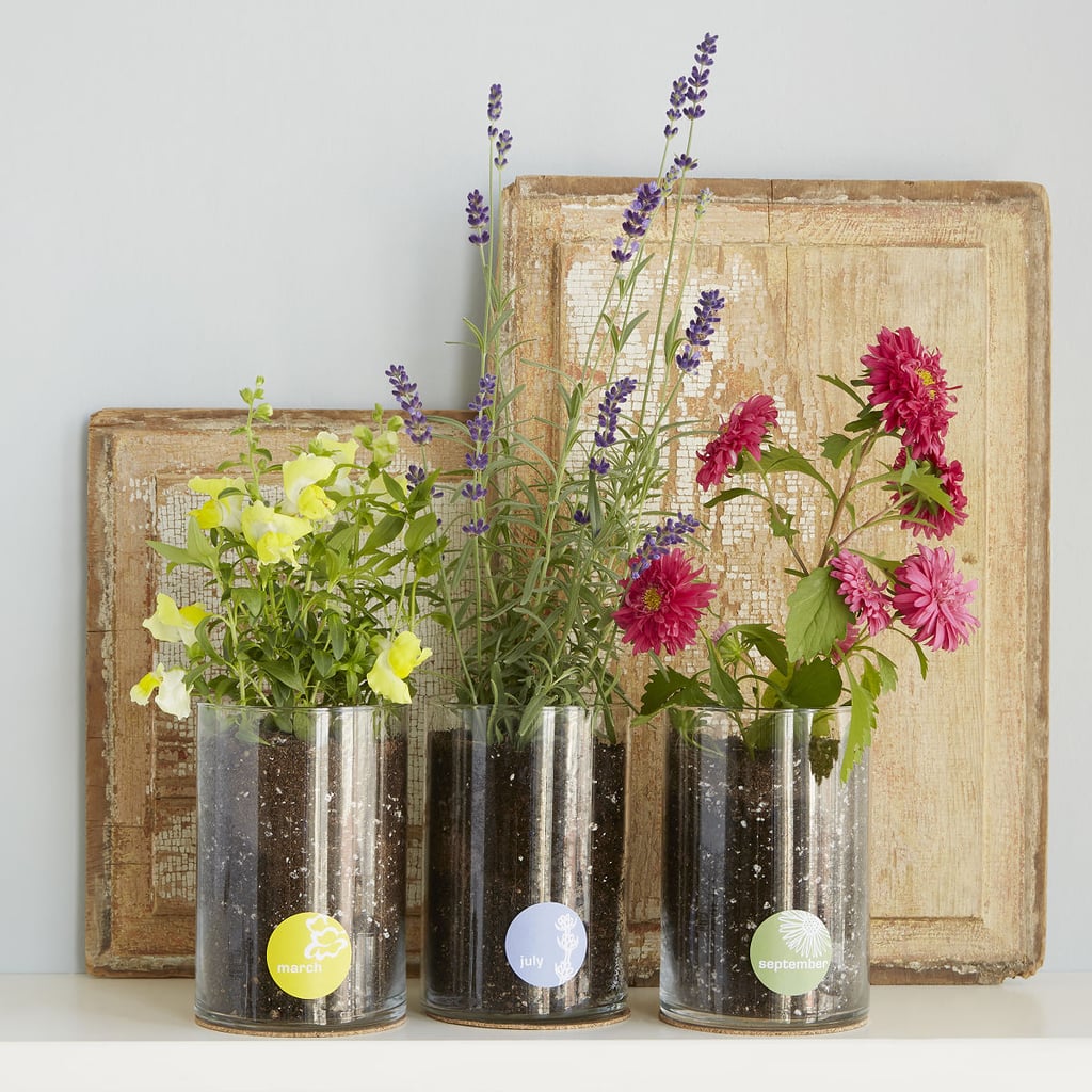 A Personalized Gift: Birth Month Flower Grow Kit