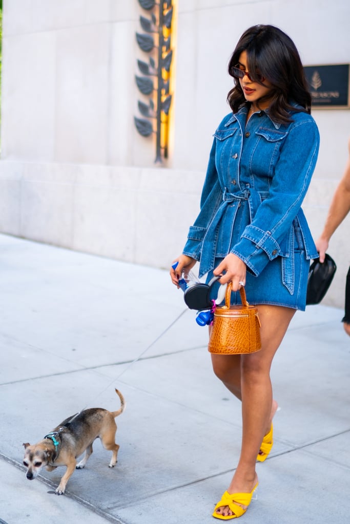 Priyanka Chopra Walking Her Dog With Nick Jonas
