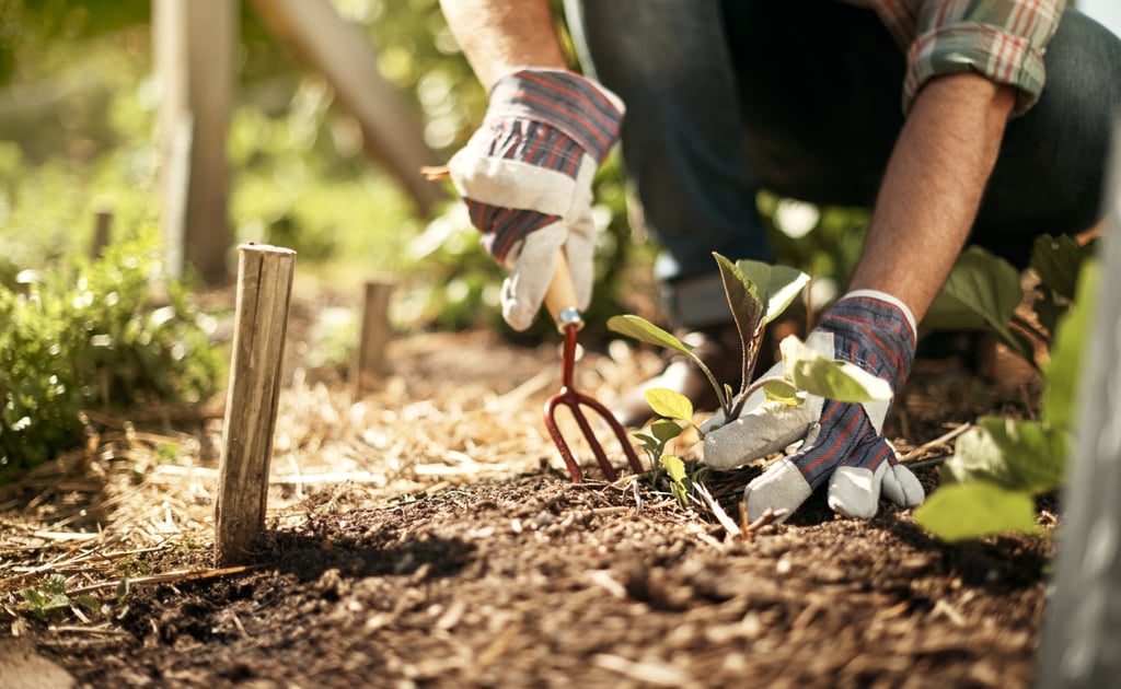 Do Yard Work And Landscaping