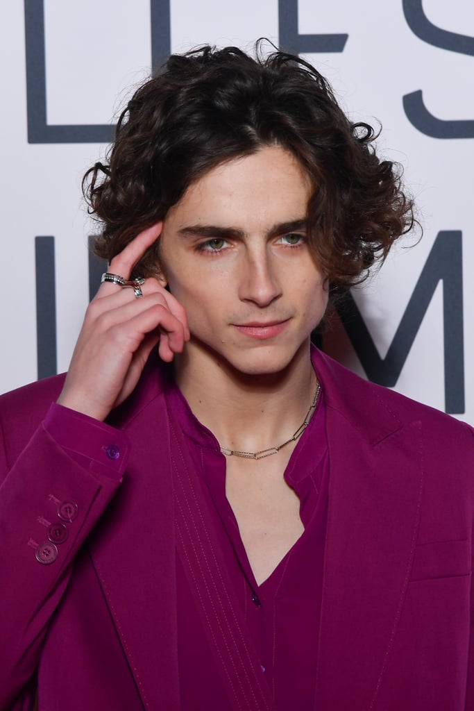 Timothee Chalamet's Raspberry-Coloured Suit on the Red Carpet