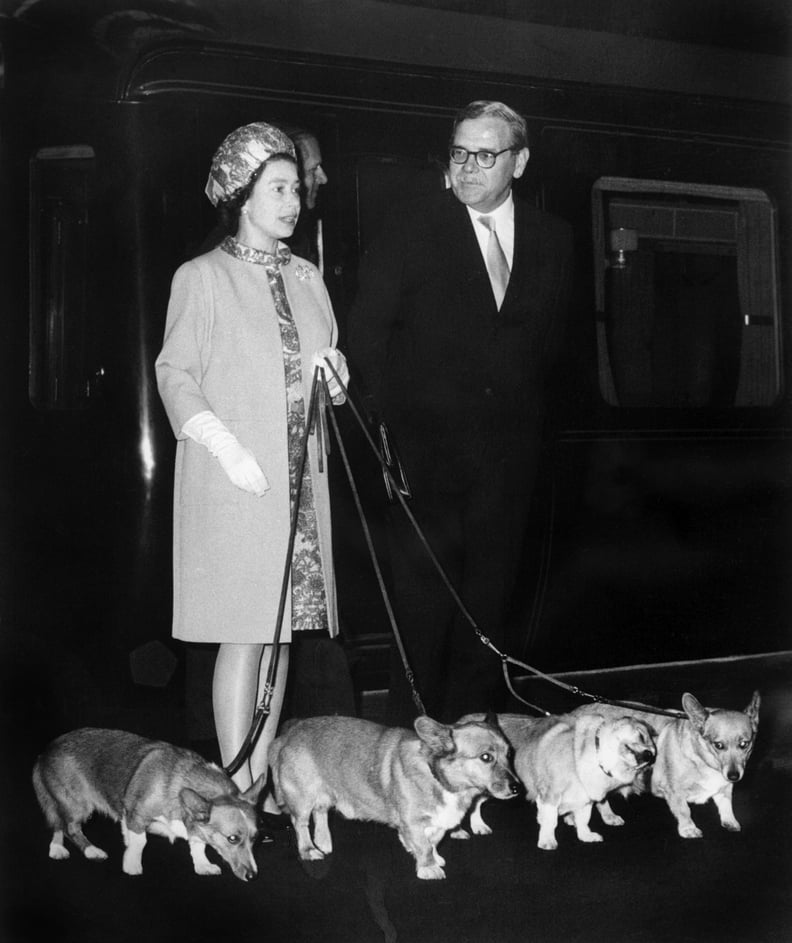 Queen Elizabeth II with her corgis in 1969.