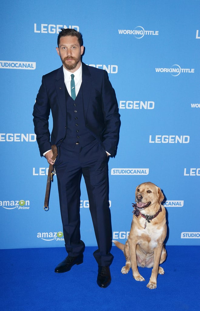 Tom Hardy's Dog at Legend Premiere