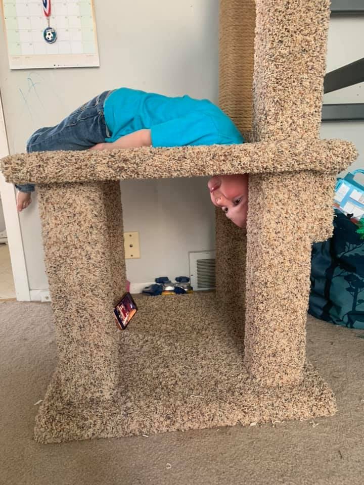 Boy Who Got His Head Stuck in a Cat Tree | Funny Photos