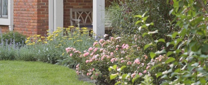 7 Ingenious – and Humane – Ways to Keep Deer Out of Your Yard