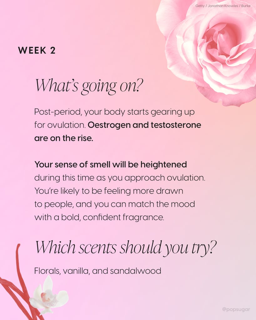 月经周期2周:印花、香草、檀香