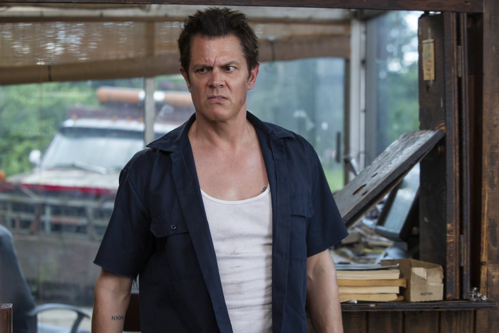 Johnny Knoxville as C.J.