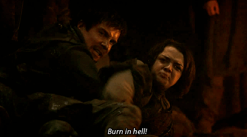 When He Protects Arya During an Intense Moment With The Hound