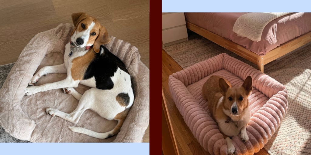 13 Amazon Dog Beds That Will Make Your Pup Feel Like Royalty