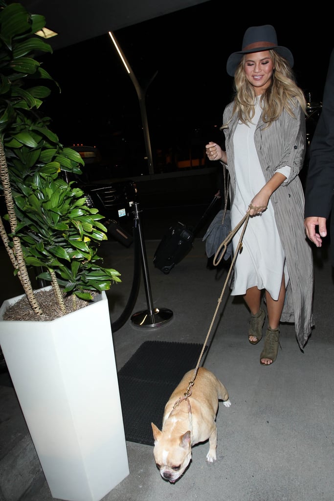 Chrissy's all-gray outfit looked super chic, but her puppy was her best accessory.