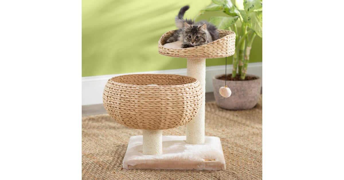 Archie & Oscar 23" Deborah Cat Tree Cat Trees That Aren't Ugly and