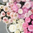 5 Peony Doppelgangers That Might Just Be Better Than the Real Thing