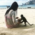 This Awesome Beach in Thailand Is Covered in MONKEYS — and They Want to Be Friends