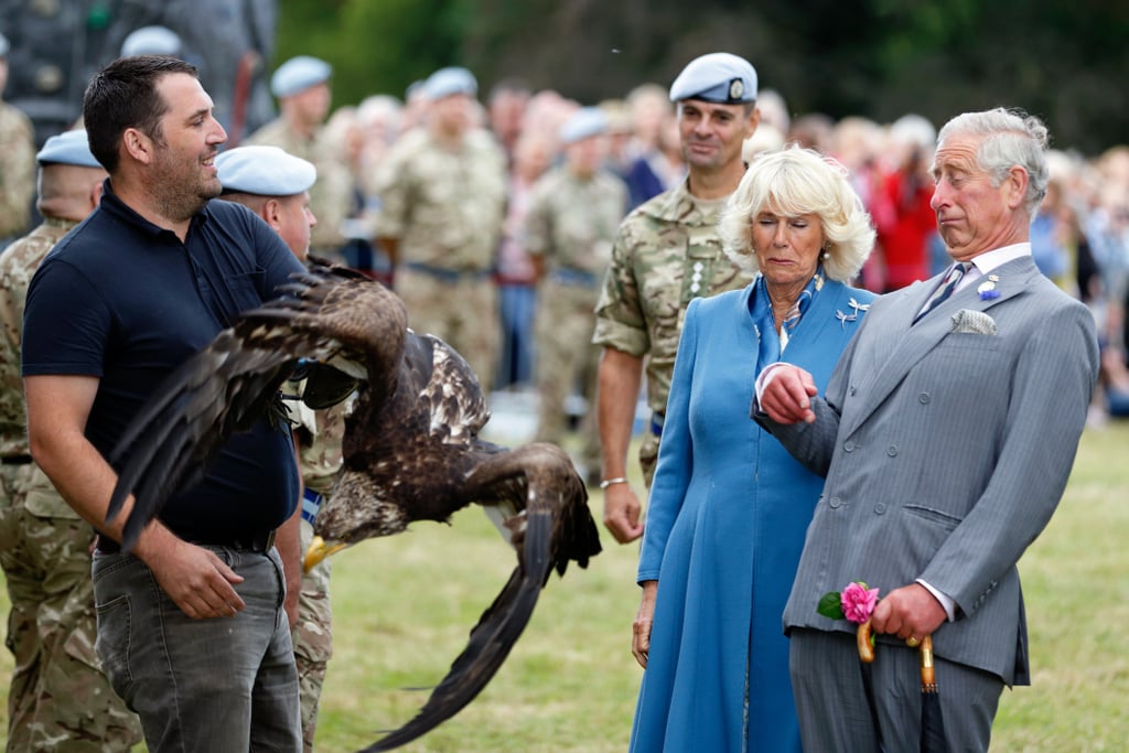 Prince Charles Camilla Freak Out at Eagle
