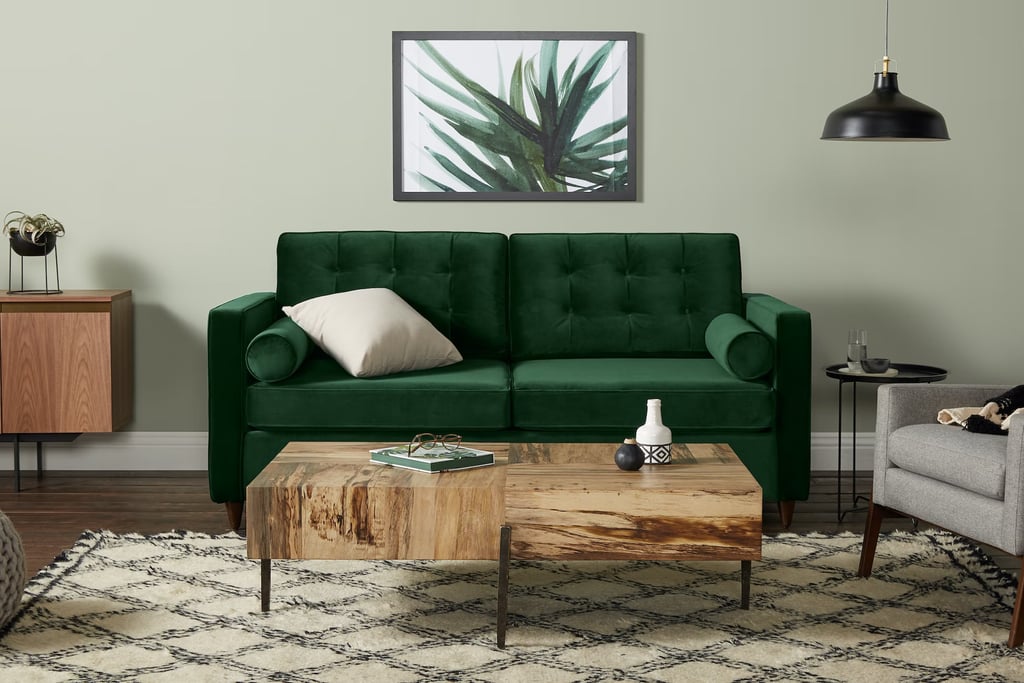 Best Pet-Friendly Sofa With a Pet Protection Plan