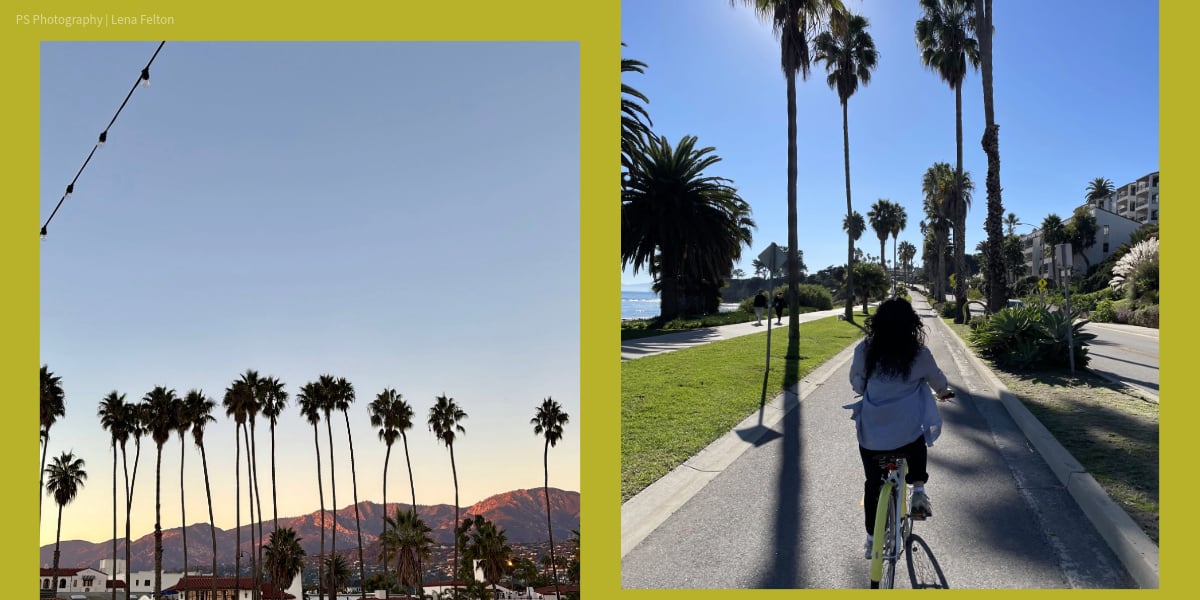 A "Micro-cation" Is the Bright Spot You Deserve This Winter