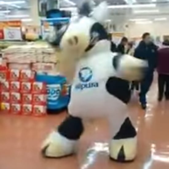 Supermarket Cow Mascot Dancing | Video