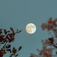 This Full Moon in Taurus Limpia Ritual Recipe Will Awaken the Goddess Within