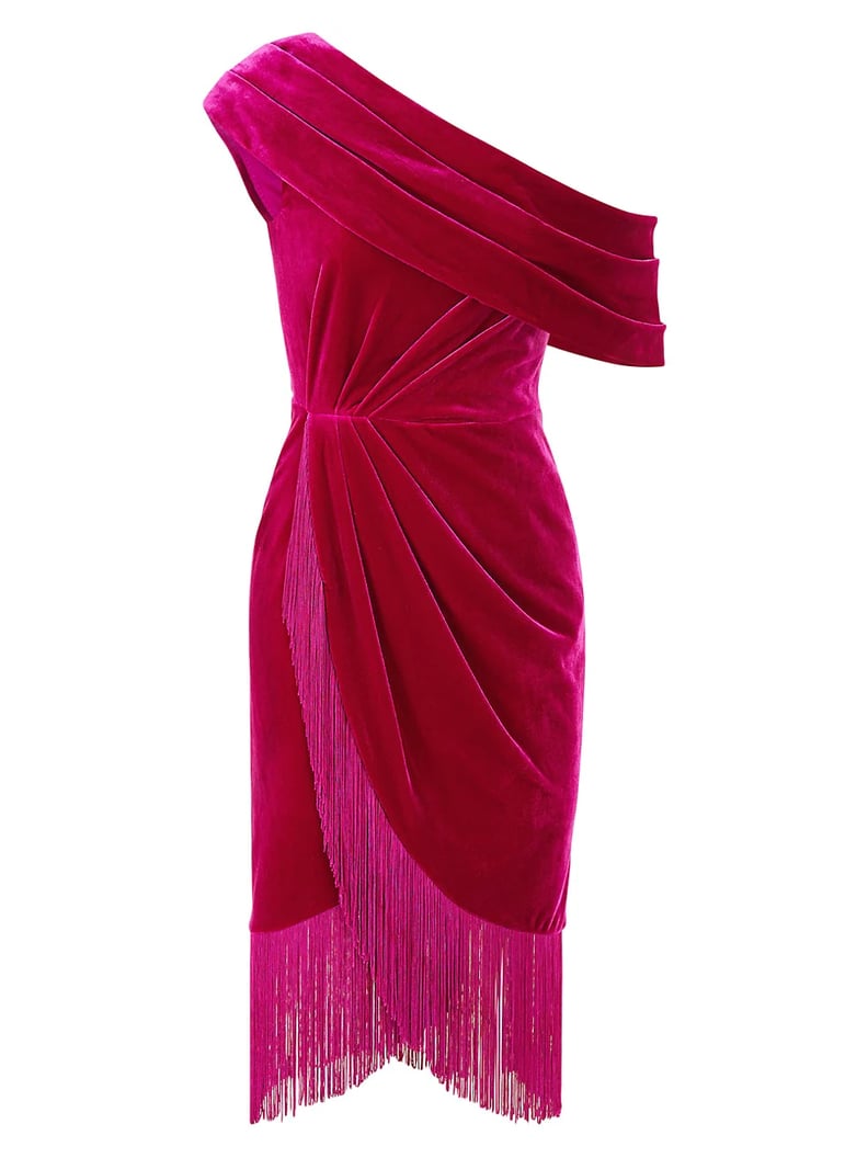 Theia Aspen Fringed Velvet Minidress