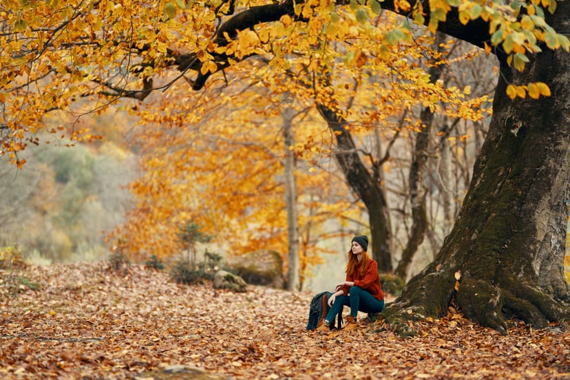 A woman on nature walks in the autumn forest and rests near a large tree