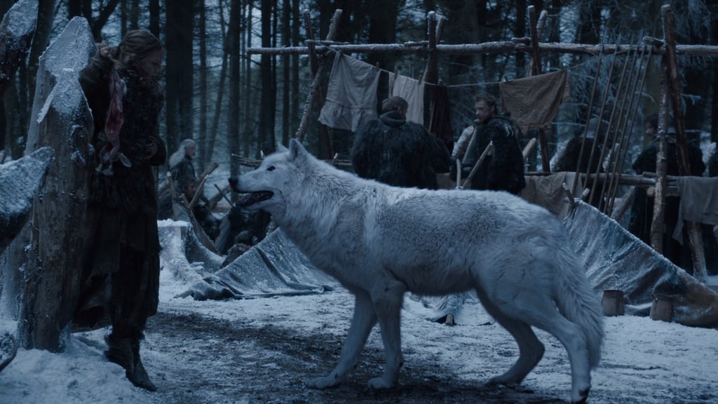 Direwolves Game of Thrones' Magical Creatures POPSUGAR