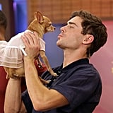 And being adorable with puppies was a game changer.