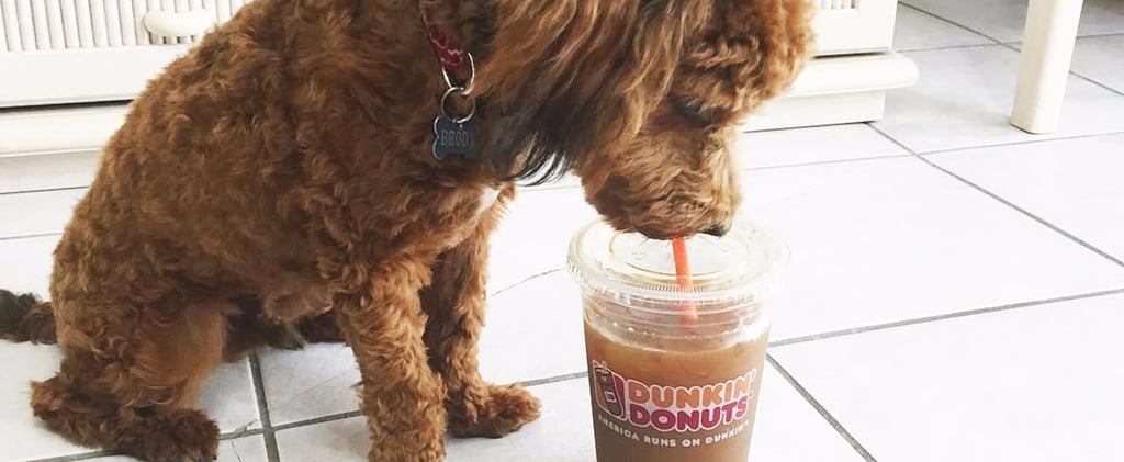Is This the Fall Coffee Flavor That Will Replace Pumpkin Spice?