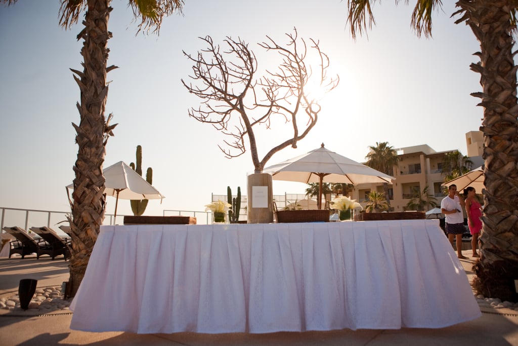 Beach Wedding in Cabo San Lucas