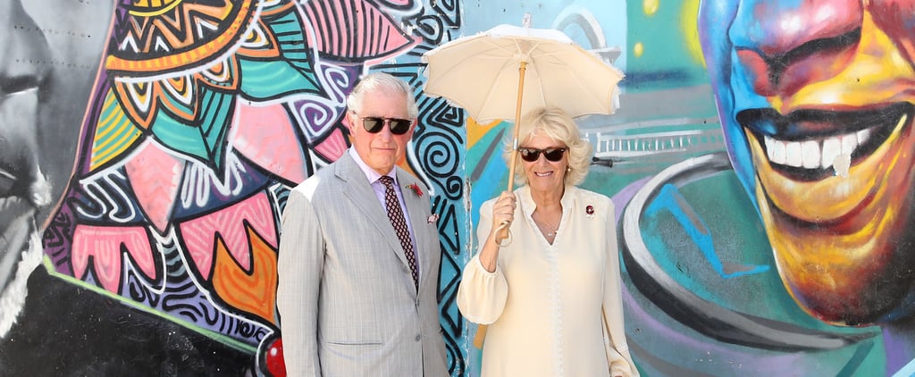 Prince Charles and Duchess Camilla Dancing in Ghana Video