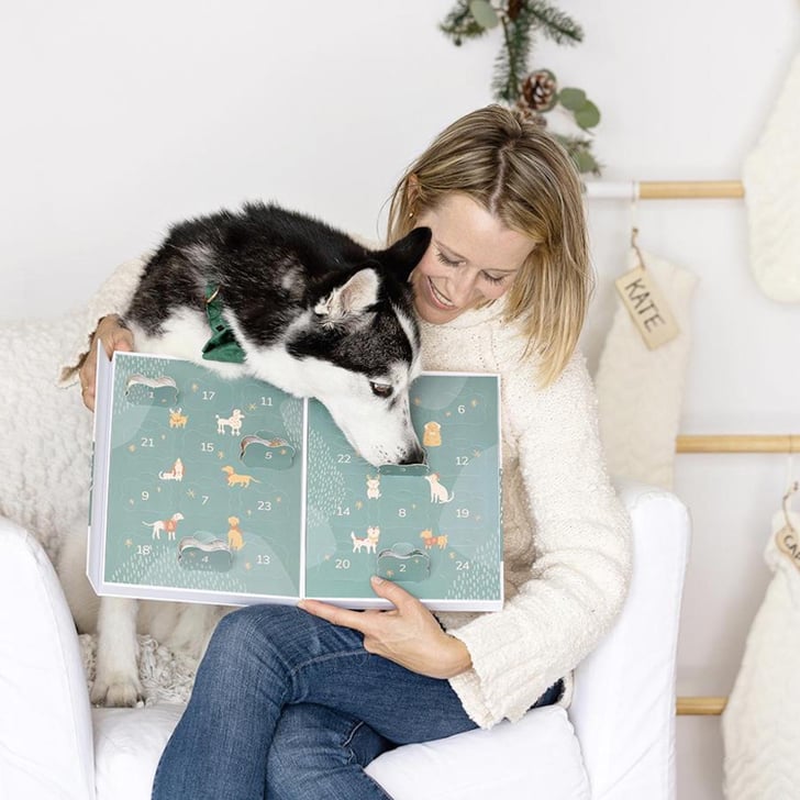 Best Dog and Cat Advent Calendars 2021