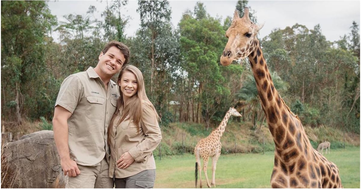 Bindi Irwin Pregnancy Pictures and Posts - Eminetra Australia