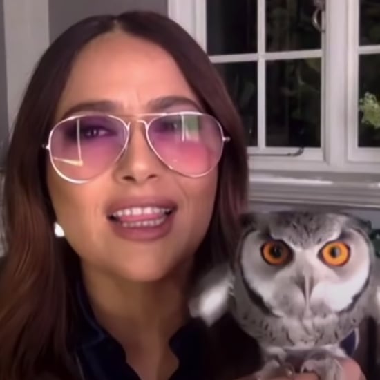 Salma Hayek's Pet Owl Threw Up on Harry Styles