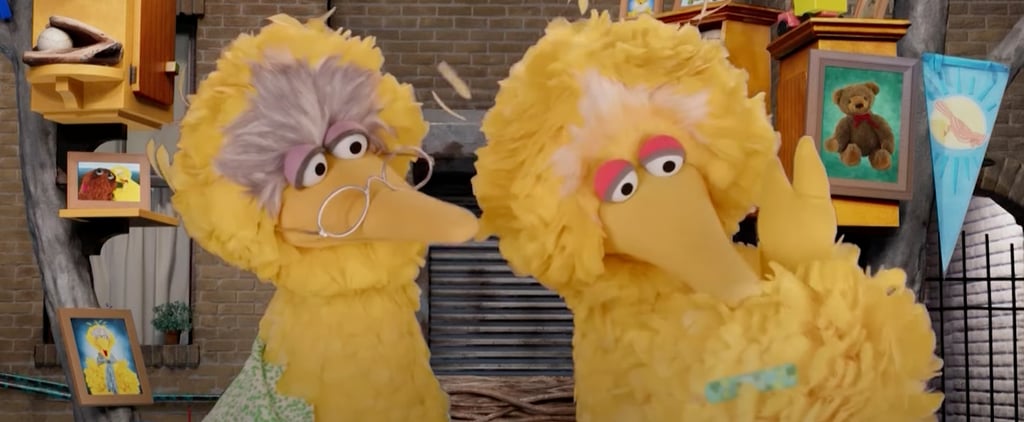 Sesame Street: Big Bird Gets the COVID-19 Vaccine Video