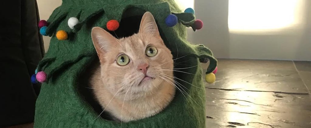 Celebrate the Holidays With a Christmas Tree Bed For Cats