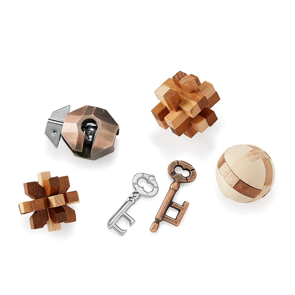 Great Minds Puzzles — Set of 5
