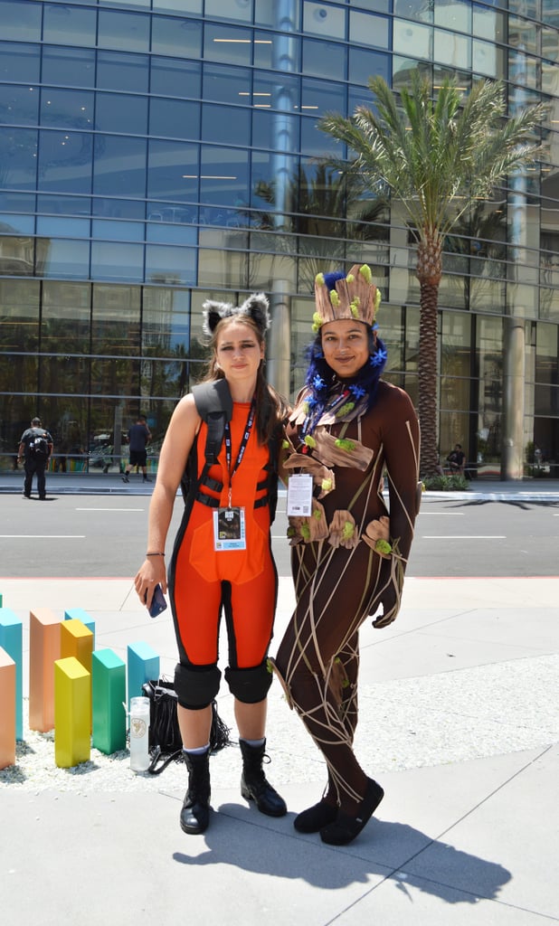 Rocket Raccoon and Groot