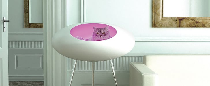 Funny SkyMall Gadgets