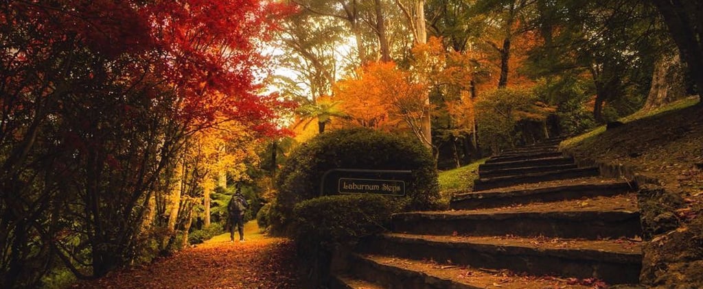 Australia's Breenhold Gardens in the Fall