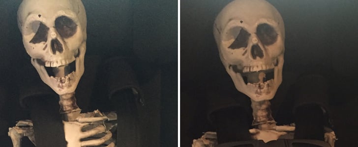 Skeleton Demonstrates Proper Child Car Seat Placement