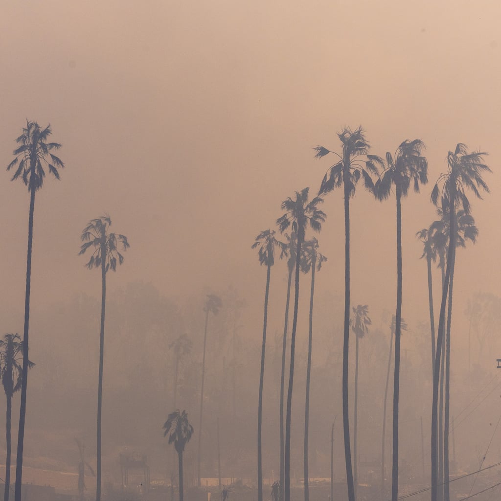 How to Stay Safe From Poor Air Quality, According to MDs