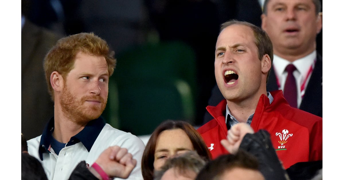 Harry gave William a funny look while taking in the Rugby World Cup ...
