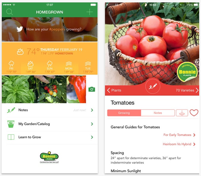 Homegrown App