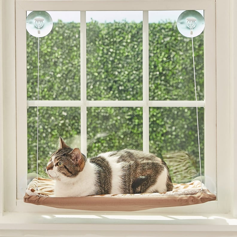 Oster Sunny Seat Cat Window Perch