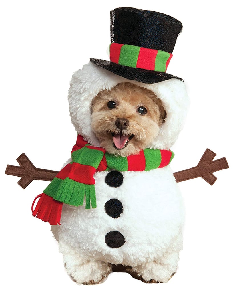 Snowman Pet Costume