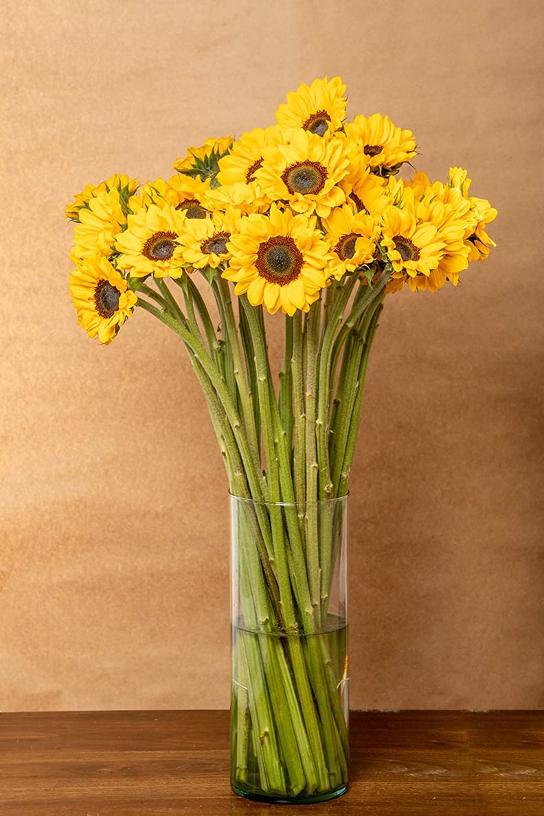 Greenchoice Flowers - Fresh Cut Sunflowers, (15 Stems)