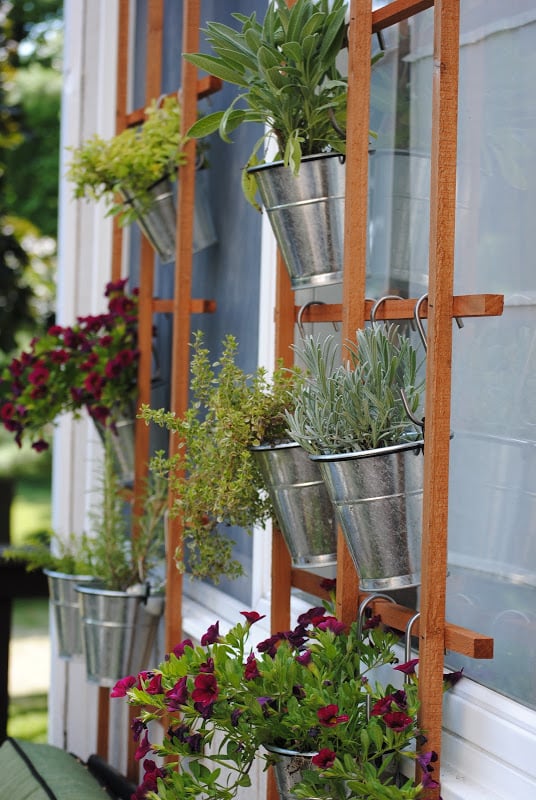 Vertical Trellises