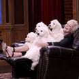 Glenn Close's 101 Dalmatians Joke Was So Clever, It Made Jimmy Fallon Drop to the Floor