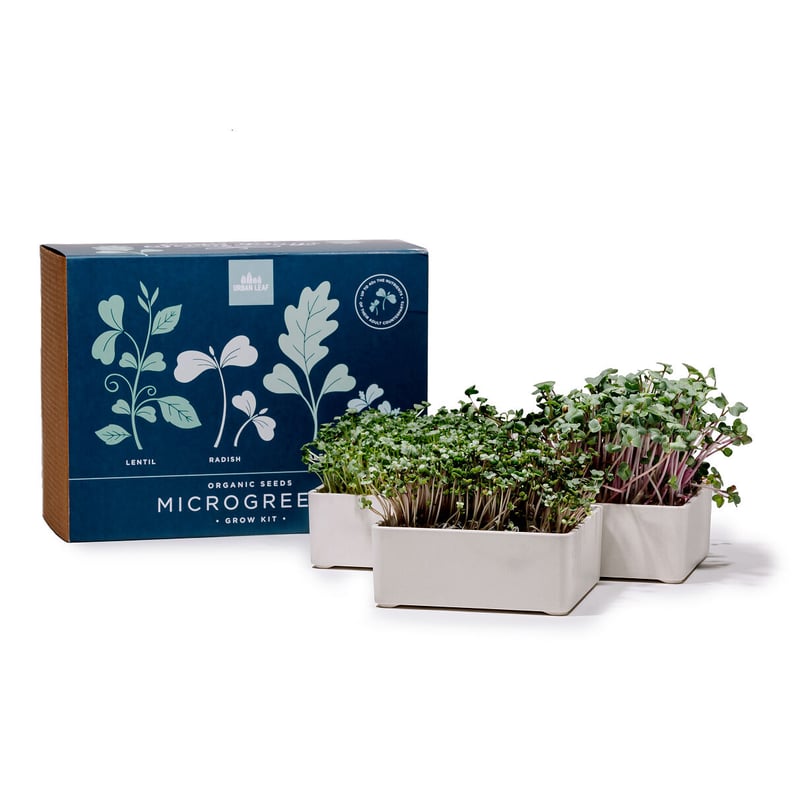Organic Microgreens Hydroponic Kit